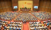 15대 베트남 국회 제9차 회의 3주차, 입법 활동에 초점