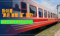 하이퐁 '붉은 봉황 꽃’ 열차, 새로운 여행 포인트로 주목