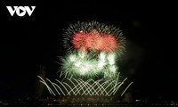 2025년 다낭 국제 불꽃축제 두 번째 경연, 베트남 2팀 첫 출전