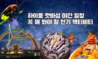깟바섬 야간 일정: 꼭 해 봐야 할 인기 액티비티