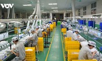 베트남 기업, 2025년 3분기 경영•생산 전망 ‘낙관’