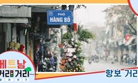 ≪베트남 거리거리 알아보기≫ 34회: 항보(Hàng Bồ) 거리