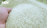 베트남 쌀 브랜드, 한·일 시장에서 위상 강화