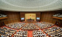 베트남 국회, 여러 법안 심의
