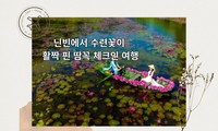 닌빈에서 수련꽃이 활짝 핀 땀꼭 체크인 여행