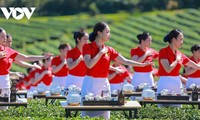 2025년 국제 차(茶) 축제: 베트남산 차 브랜드 홍보 및 글로벌 협력 촉진 기여