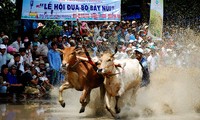 ការឆ្លើយសំណួររបស់មិត្តអ្នកស្ដាប់