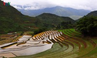 Mu Cang Chai - រមណីយដ្ឋានមួយក្នុងចំណោមរមណីយដ្ឋានដ៏ស្រស់ស្អាតបំផុត លើពិភពលោក