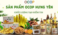 Hung Yen អភិវឌ្ឍន៍កសិកម្មដោយផ្សារភ្ជាប់នឹងការកសាងជនបទថ្មី