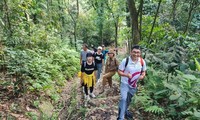 ដំណើរកម្សាន្តបែប trekking តាមចង្កេះភ្នំភាគខាងកើត Tam Dao (ខេត្ត Thai Nguyen)៖ ប៉ះដល់សម្រស់ដ៏រហោស្ថានរបស់ប្រទេសវៀតណាម