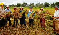 បង្កើនកិច្ចសហប្រតិបត្តិការអន្តរជាតិអំពីវិទ្យាសាស្ត្រនិងបច្ចេកវិជ្ជាវៀតណាម-ឡាវ