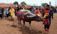 បណ្ដាពិធីបុណ្យដើមនិទាឃរដូវឆ្នាំ២០១៣បានប្រព្រឹត្តទៅយ៉ាងផុលផុស