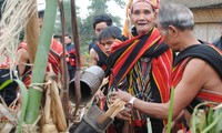 ទិវាបុណ្យនិទាឃៈរដូវរបស់បណ្ដាជនជាតិនៅវៀតណាម