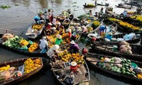 ផ្សព្វផ្សាយអង្ករ ជលផល ផ្លែឈើនៃតំបន់វាលទំនាបទន្លេ Cuu Long