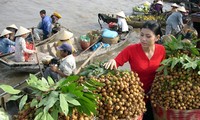 វៀតណាមម្ចាស់ការរួមជាមួយសហគមន៍អន្តរជាតិទប់ទល់នឹងបំរ៉ែបំរួលអាកាសធាតុ