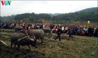 បុណ្យ Long Tong របស់ជនរួមជាតិ Tay នៅខេត្ត Lang Son