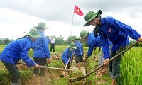 យុវជនចូលរួមការកសាងជនបទថ្មី