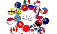 APEC 2017 អះអាងតួនាទីរបស់វៀតណាម