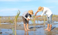 វៀតណាមម្ចាស់ការសកម្មចូលរួមសហប្រតិបត្តិការក្នុងអាស៊ានអំពីបរិស្ថាន