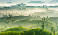 Fotografer Vietnam Berprestasi dalam Kontes Fotografi Internasional