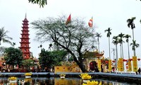 河内最古老的寺庙——镇国寺