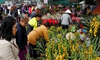 感受海防市杭集市的年末气氛