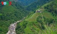 河江梯田进入灌水季节