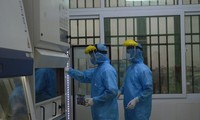 越南新增4例新冠肺炎确诊病例