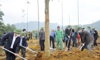 全国各地响应“植树节”