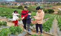 年初全国各大景点人潮涌动——2022年越南旅游业的乐观信号