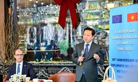 越南：欧盟在东南亚的优先合作伙伴