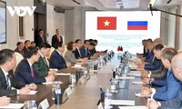 越南与俄罗斯推动液化天然气项目合作