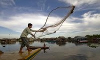 Overseas VNese at Tonle Sap Lake, Cambodia, enjoy Tet holiday 