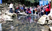 Sacred fish palanquin in Thanh Hoa