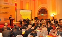 Dong Thap tops Vietnam’s 2012 competitiveness index 