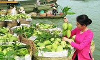 Steering Committee of Mekong Delta  Economic Cooperation Forum meets