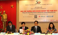 VCCI releases Vietnam Business Annual Report 2012