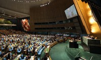 UN General Assembly approves Syria resolution