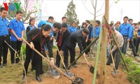 Tree planting festivals launched nationwide