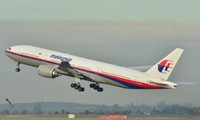 Aviation security to be tightened after Malaysian plane went missing 