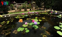 Thanh Tien paper flowers village in Hue