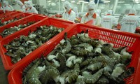 Vietnam’s reaction to the US’s imposition of anti-dumping tariffs on Vietnamese shrimps