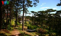 Da Lat – the world’s best city for lovers 