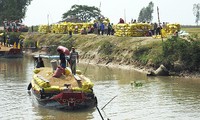 Agricultural restructuring vital to Dong Thap’s new rural development 