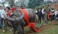 Long tong festival of the Tay in Lang Son