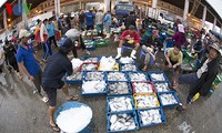 Tho Quang fishing port in spring 