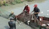 Supporting new rural development in Dong Nai