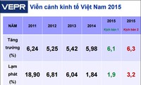 Vietnam Economic Report 2015 introduced