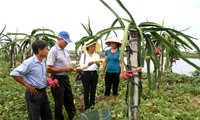 Khanh Thien – the first commune to meet the new rural development criteria in Ninh Binh 