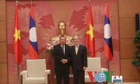 Vietnam and Lao enhance special relationship   